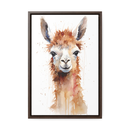 Llama