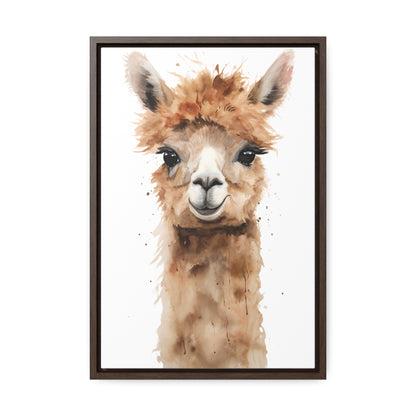 Alpaca