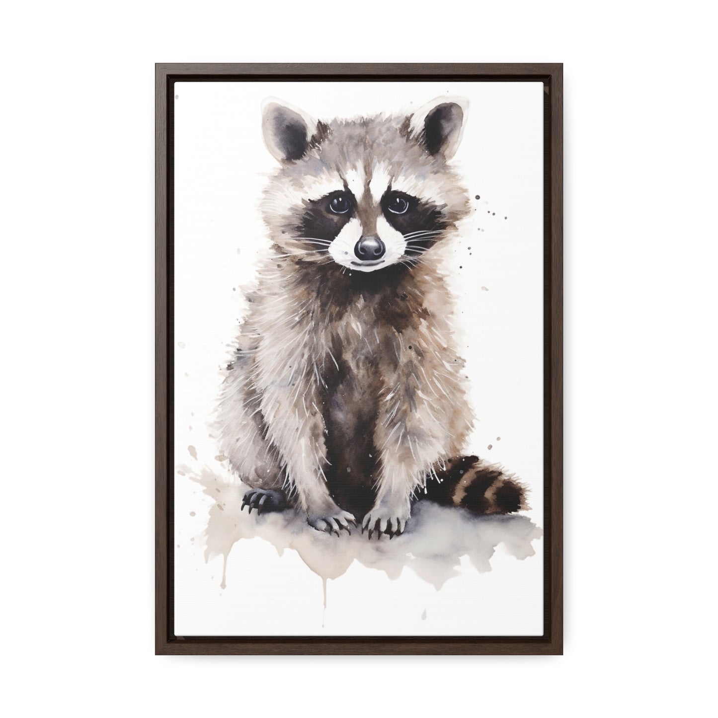 Raccoon