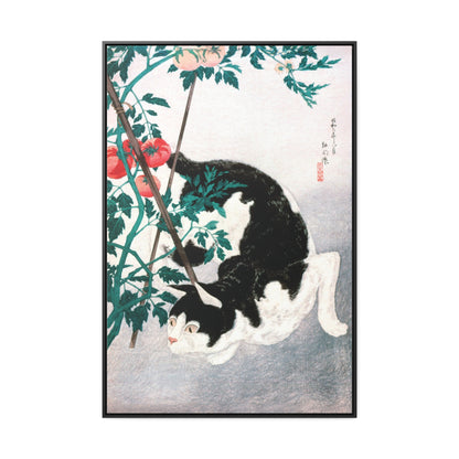 Cat with Tomato Plant by Hiroaki Takahashi