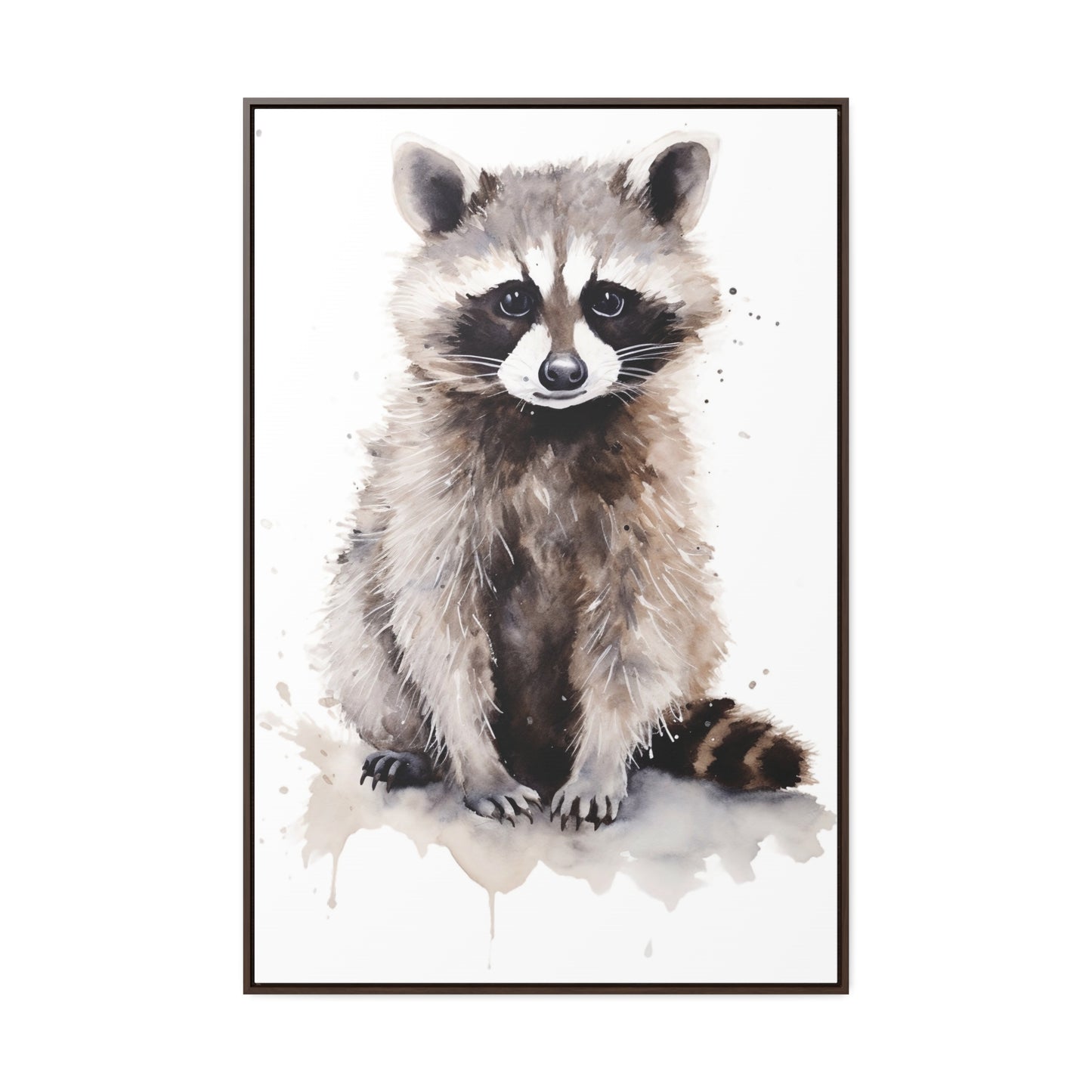 Raccoon