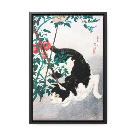 Cat with Tomato Plant by Hiroaki Takahashi