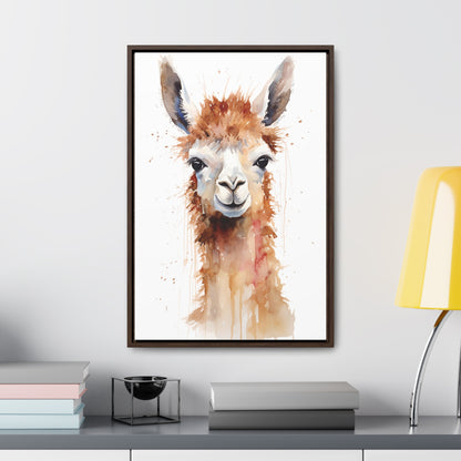 Llama