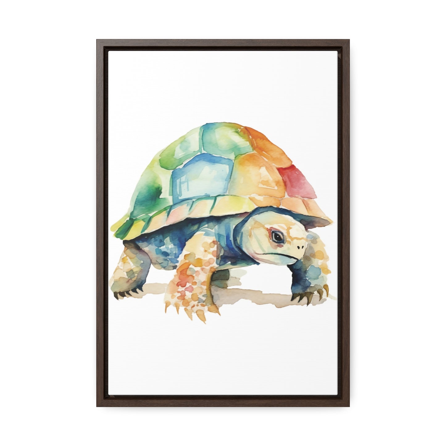 Tortoise