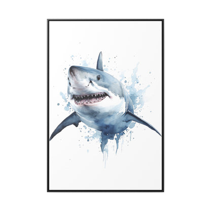 Shark