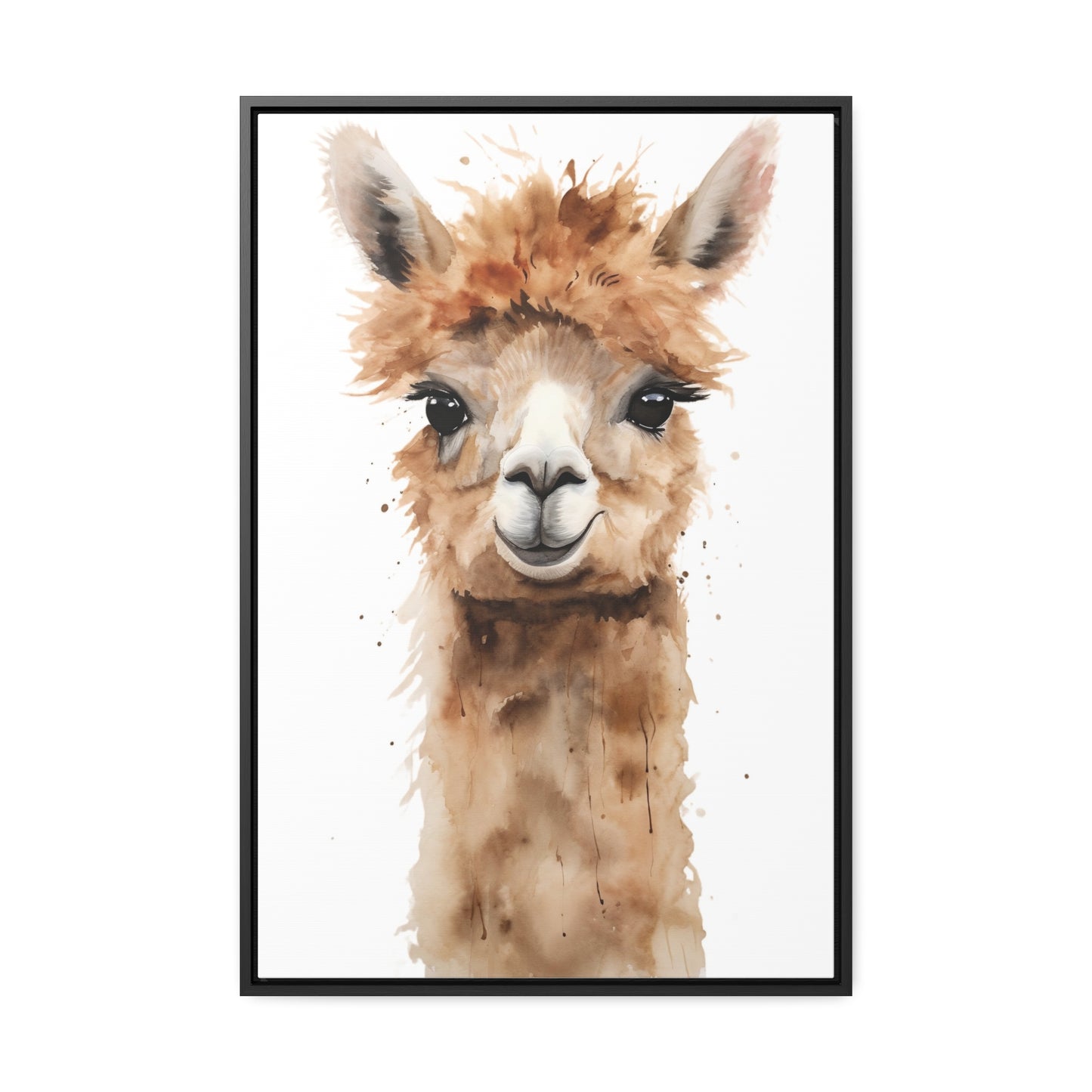 Alpaca