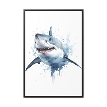 Shark