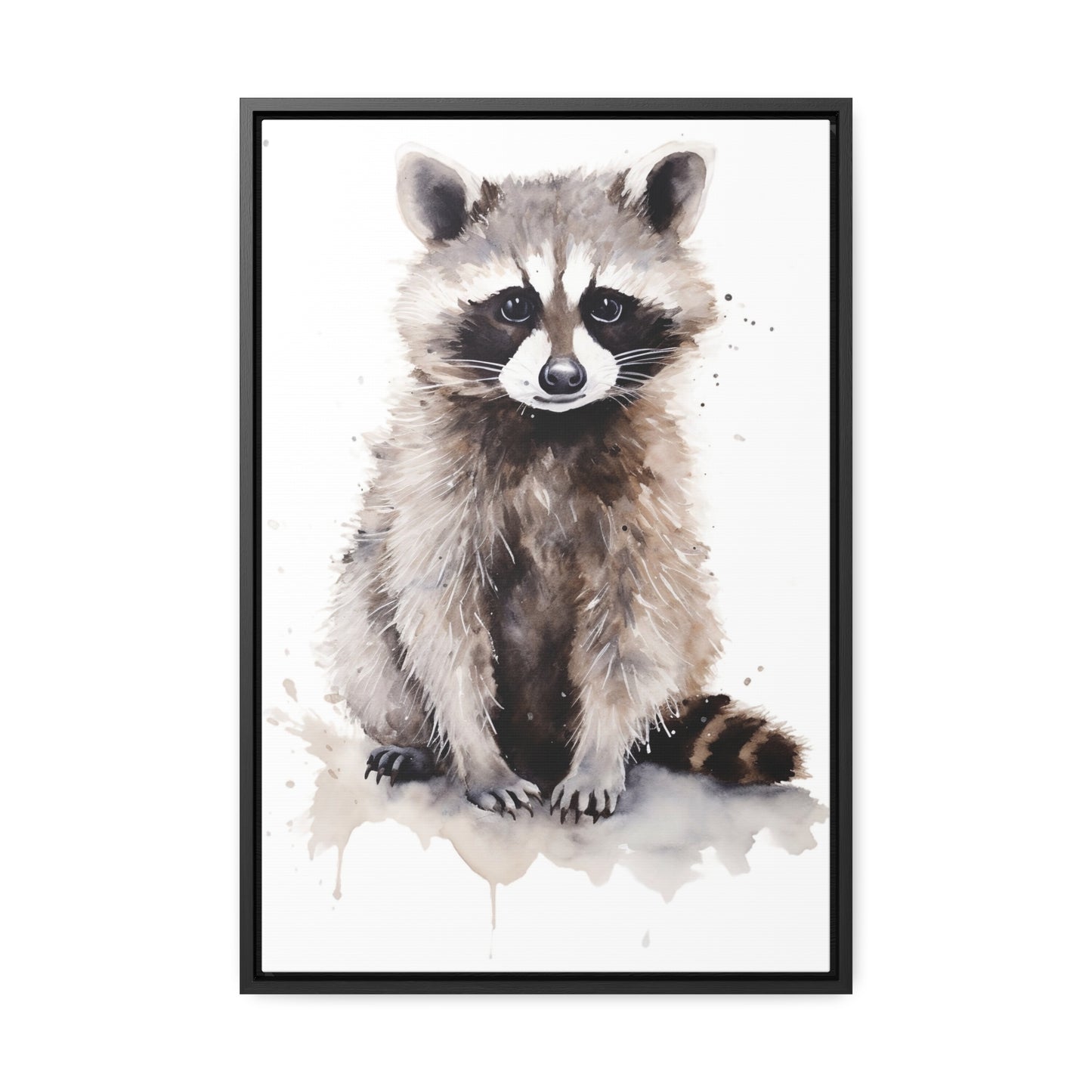 Raccoon