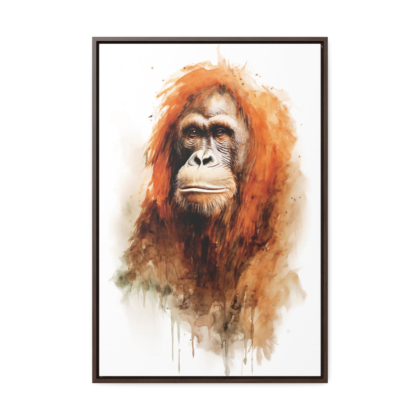 Orangutan