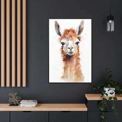 Llama