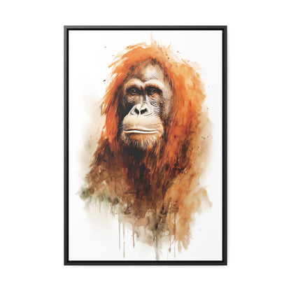 Orangutan