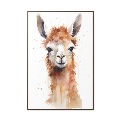 Llama