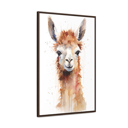 Llama