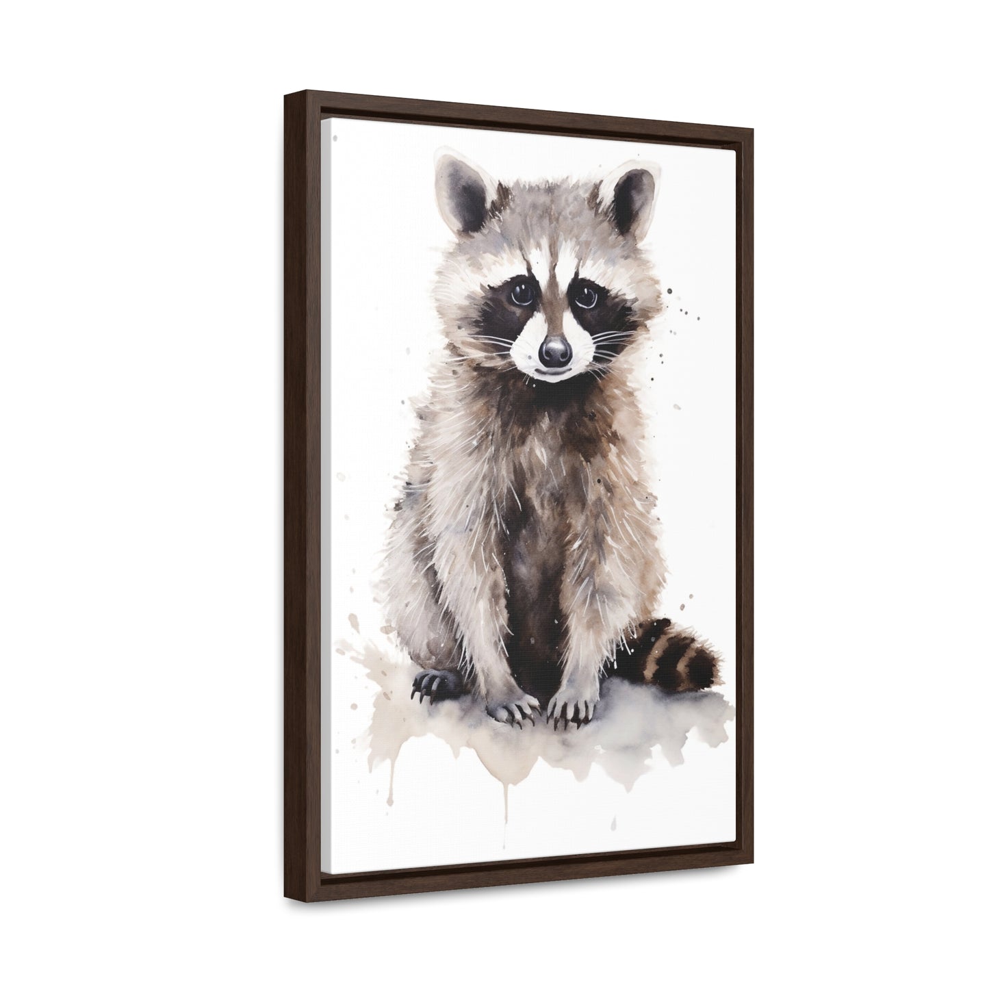 Raccoon