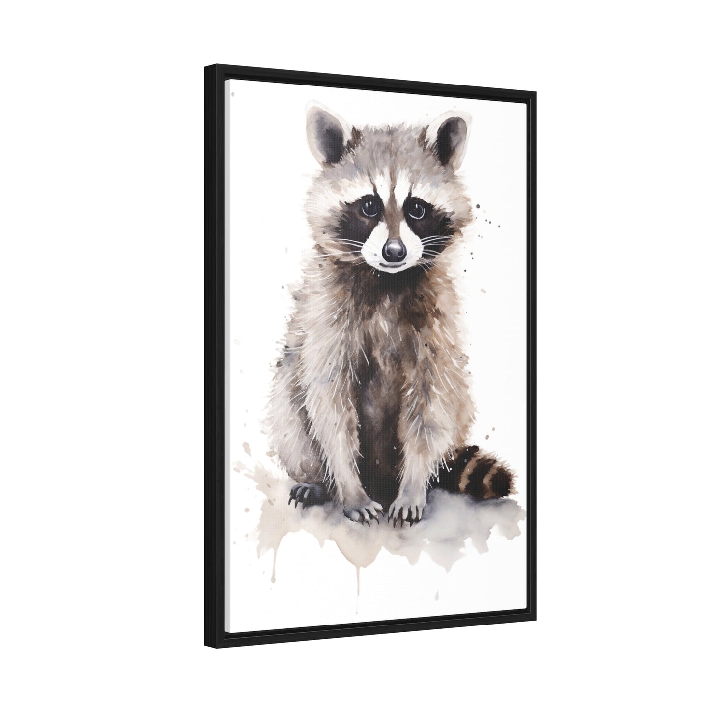 Raccoon