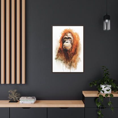 Orangutan