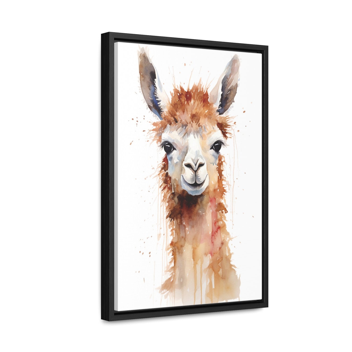 Llama