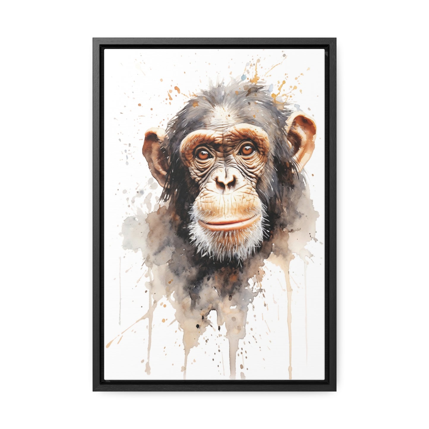 Chimpanzee