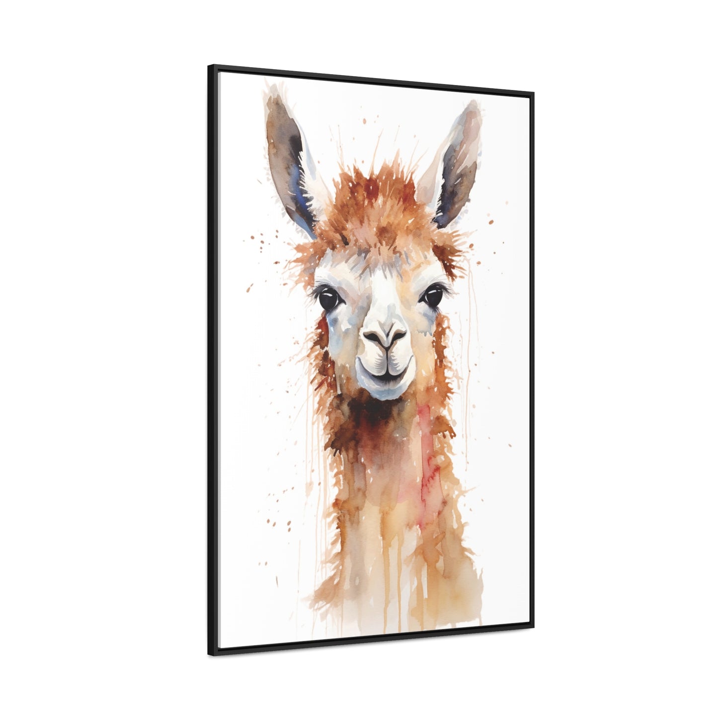 Llama