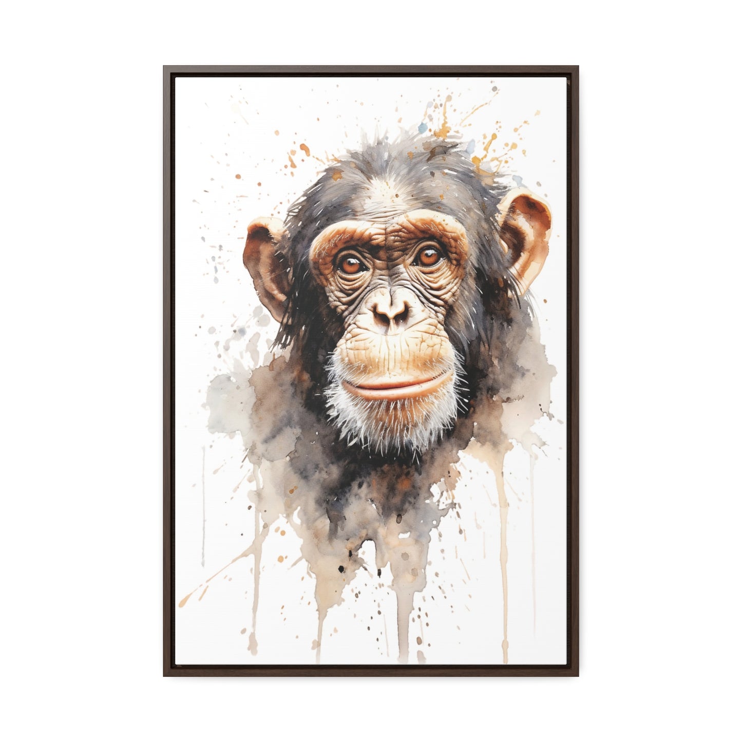 Chimpanzee