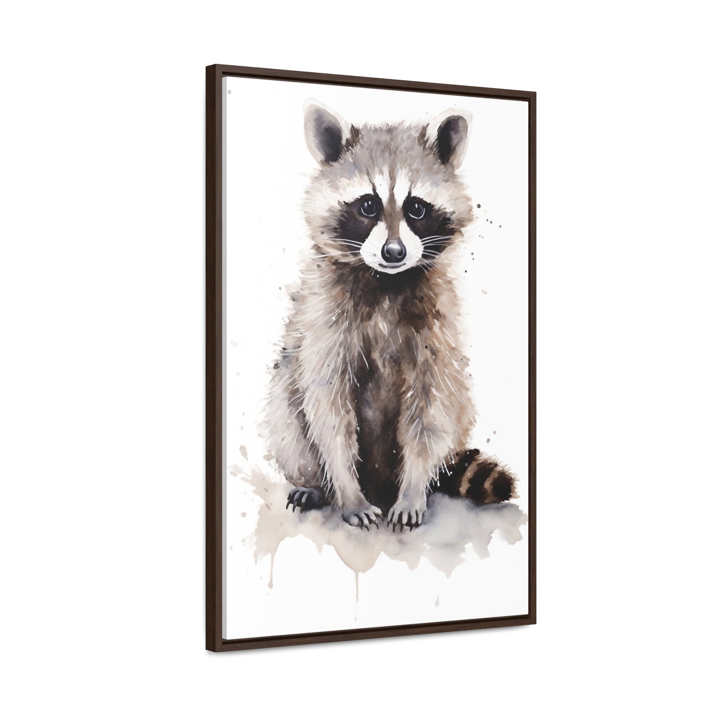 Raccoon