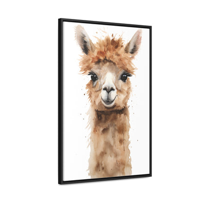 Alpaca