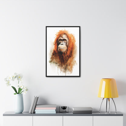 Orangutan