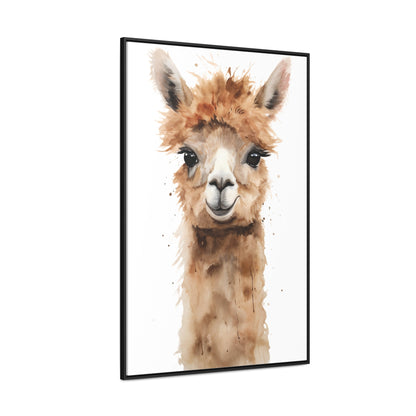 Alpaca