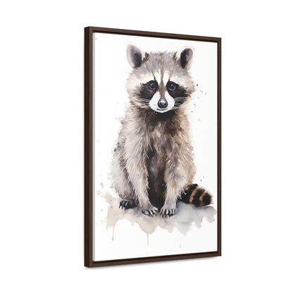 Raccoon