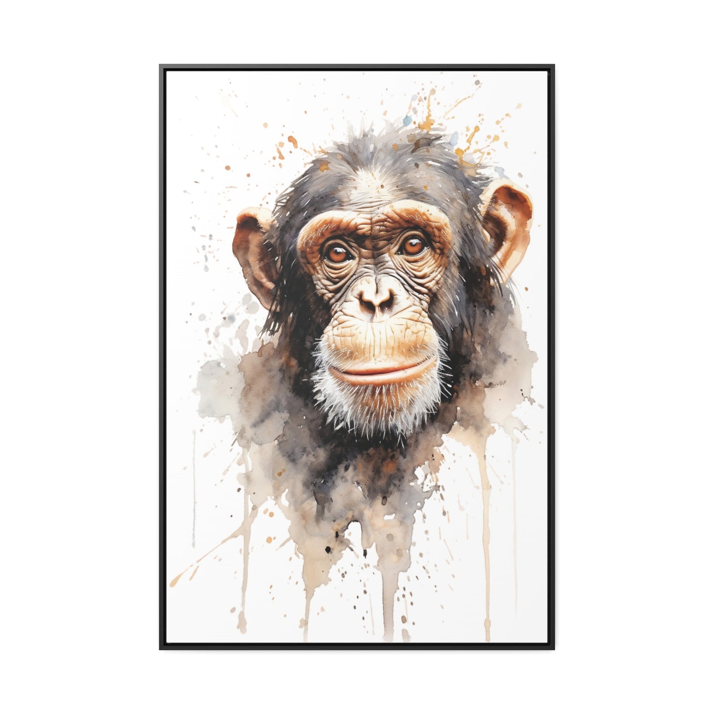 Chimpanzee