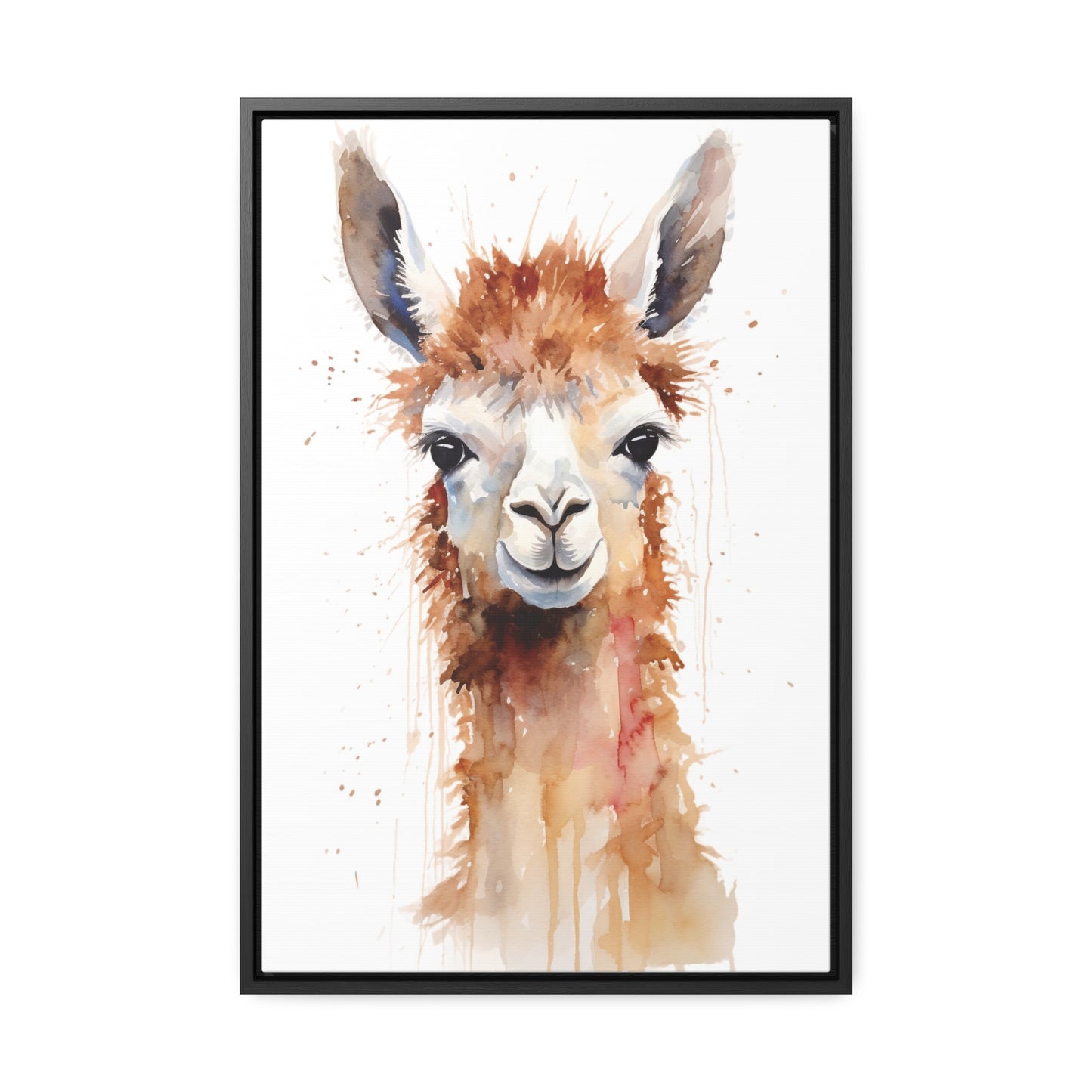 Llama