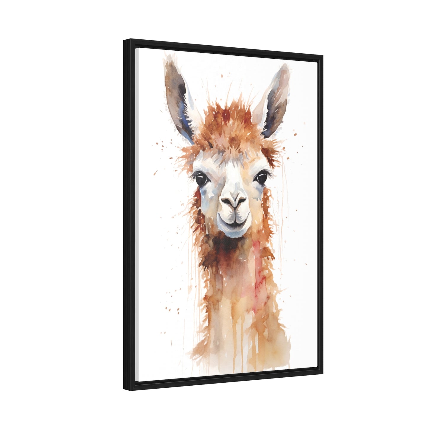 Llama