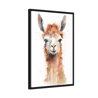 Llama