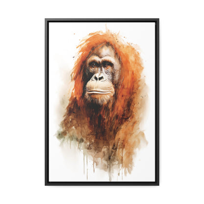 Orangutan