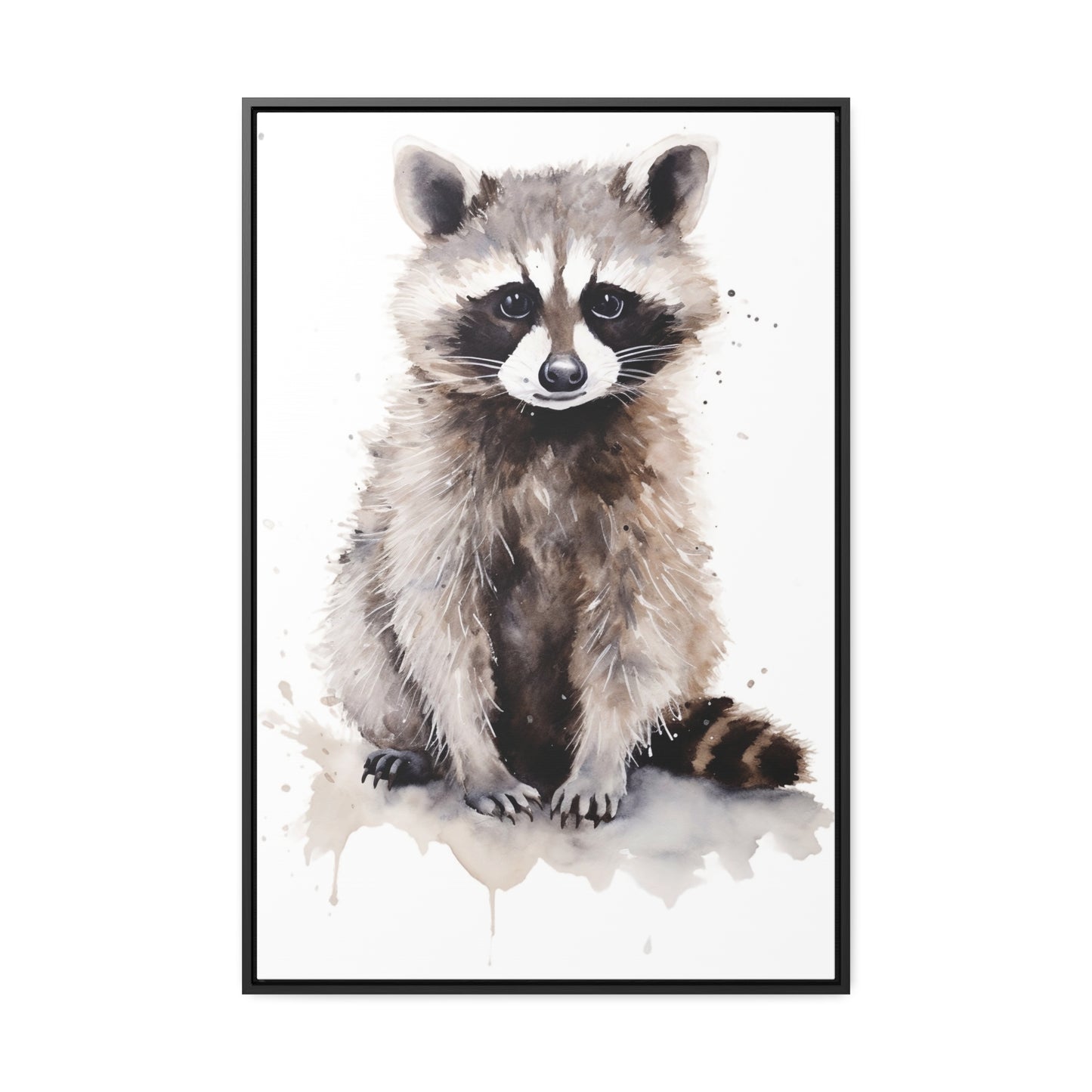 Raccoon