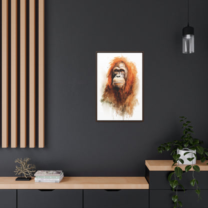 Orangutan