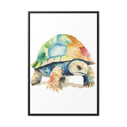 Tortoise